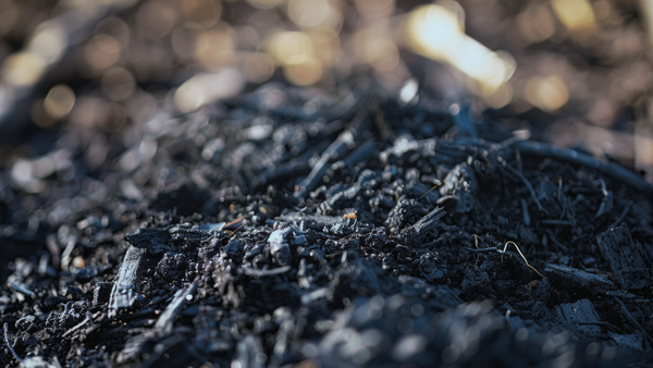 The Differences Between Inoculated and Non-Inoculated Biochar